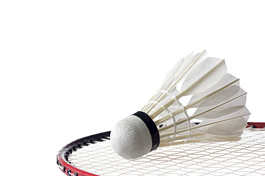 仁替补甚至 仁替补甚至